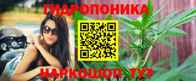 мяу мяу мука Комсомольск-на-Амуре